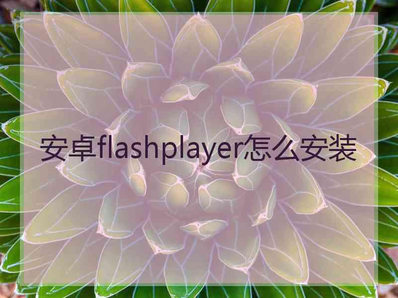 安卓flashplayer怎么安装