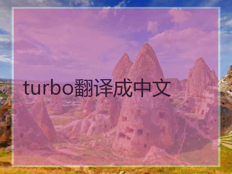 turbo翻译成中文