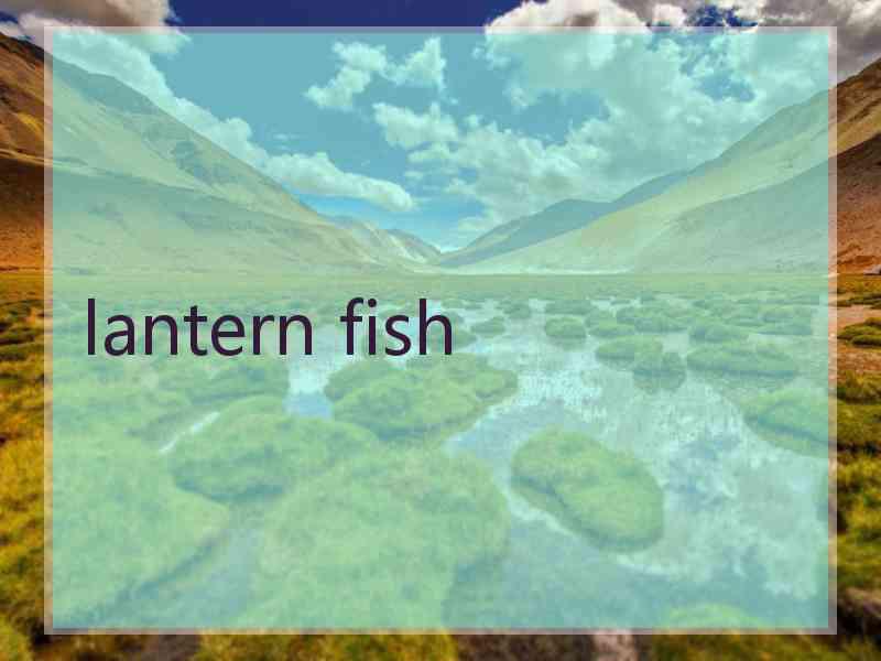 lantern fish