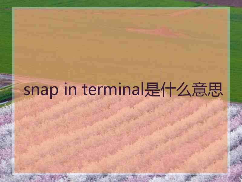 snap in terminal是什么意思
