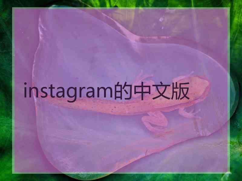 instagram的中文版
