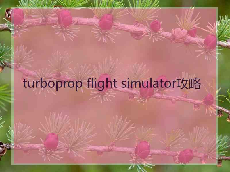 turboprop flight simulator攻略