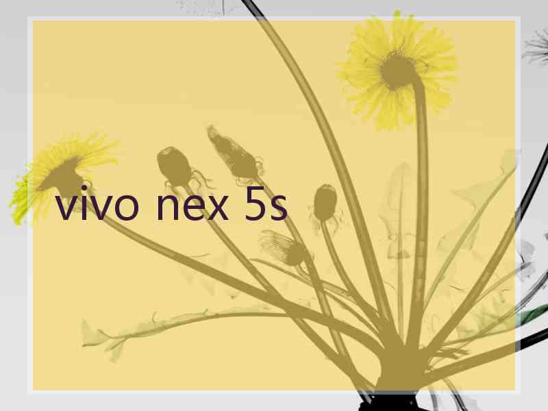 vivo nex 5s
