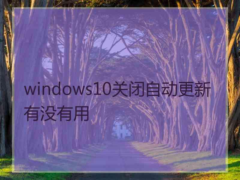 windows10关闭自动更新有没有用