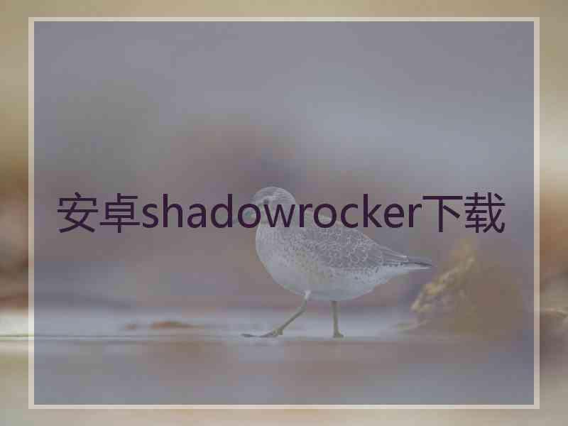 安卓shadowrocker下载