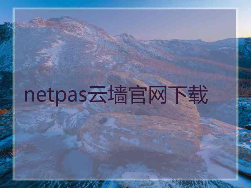 netpas云墙官网下载