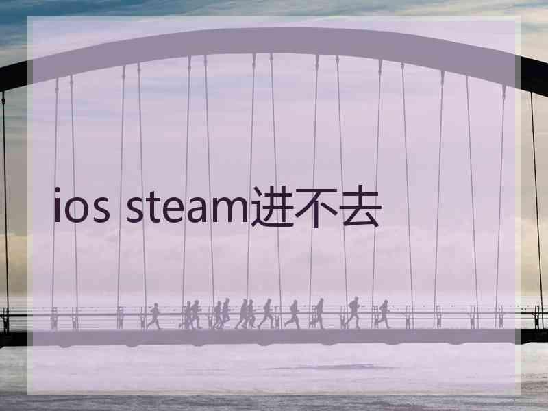 ios steam进不去