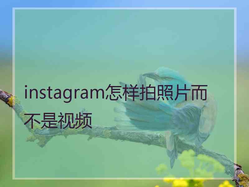 instagram怎样拍照片而不是视频