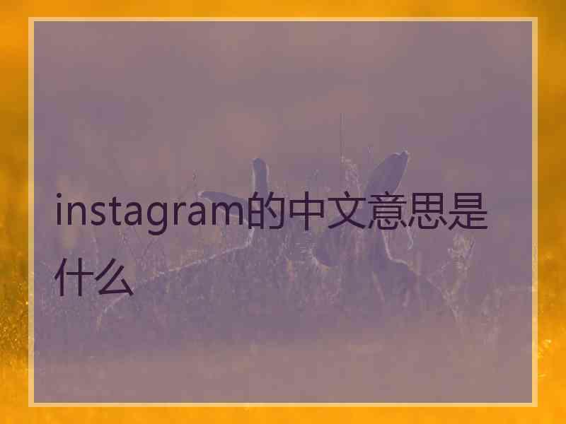 instagram的中文意思是什么