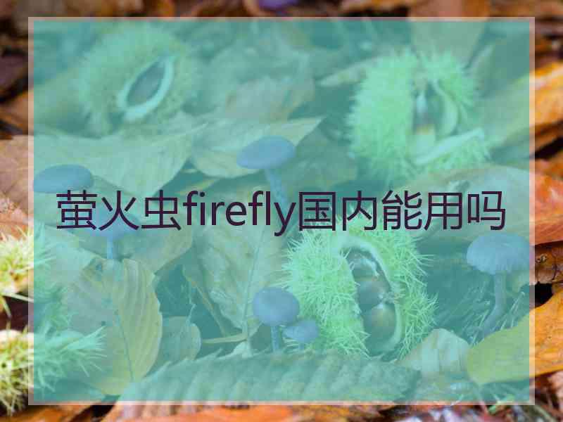 萤火虫firefly国内能用吗