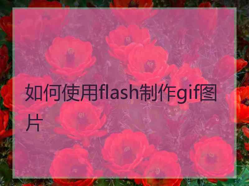如何使用flash制作gif图片