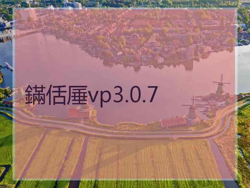 鏋佸厜vp3.0.7