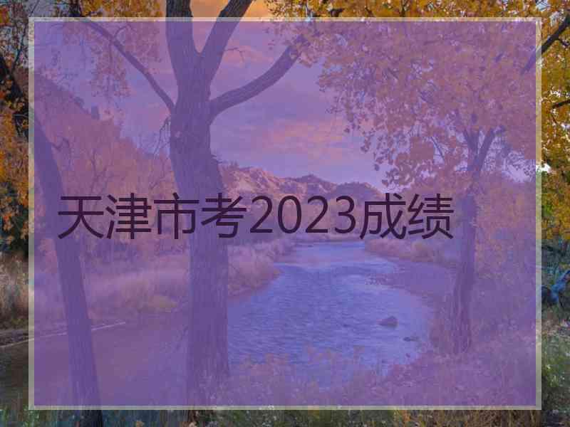 天津市考2023成绩
