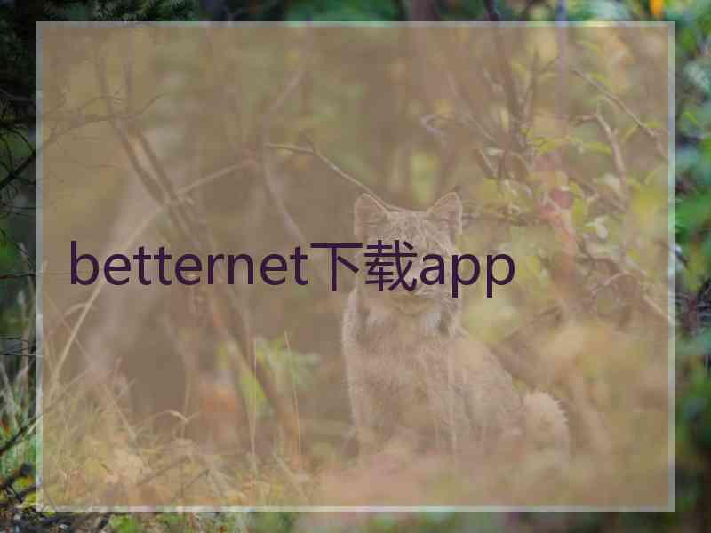 betternet下载app