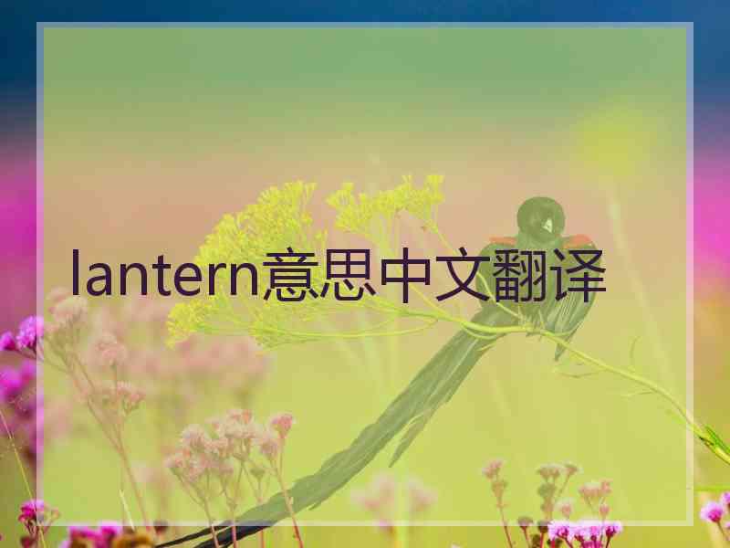 lantern意思中文翻译