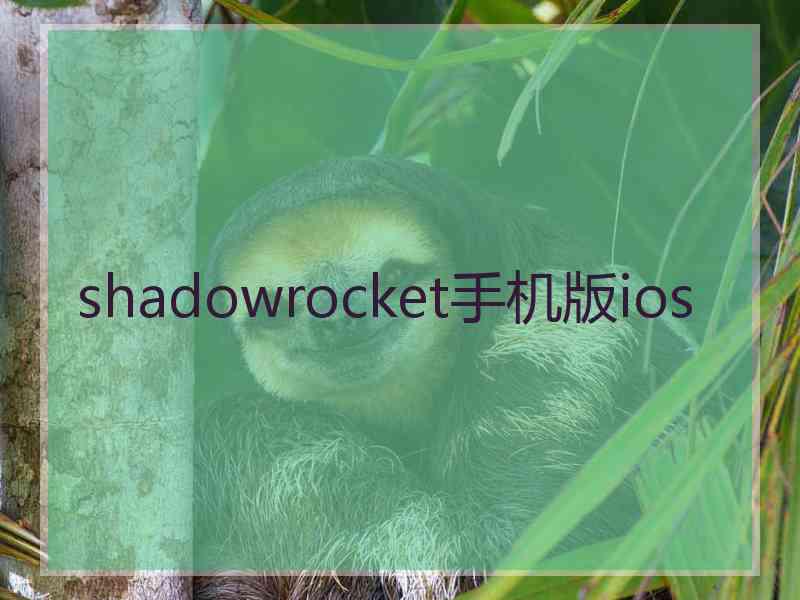 shadowrocket手机版ios