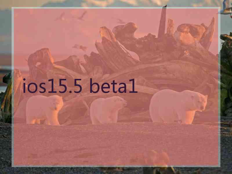 ios15.5 beta1