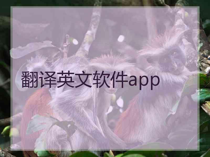 翻译英文软件app