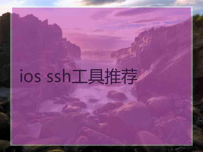 ios ssh工具推荐
