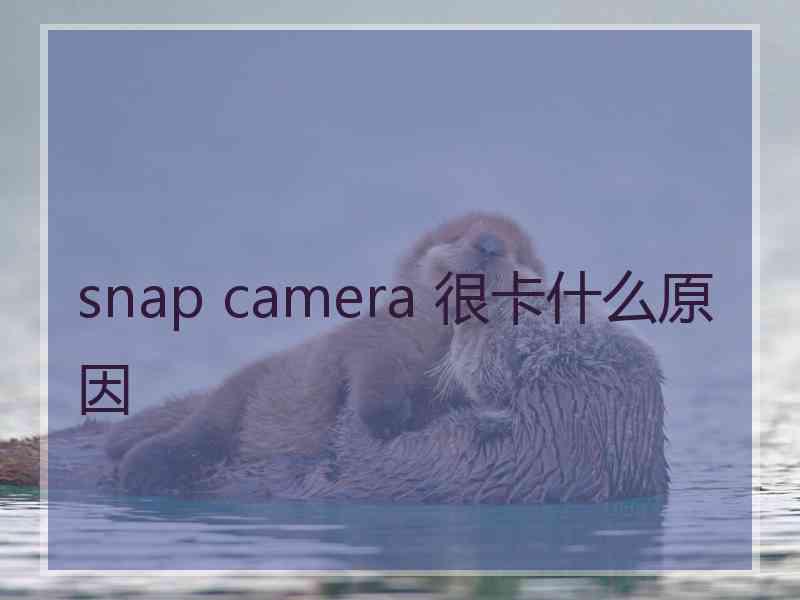 snap camera 很卡什么原因