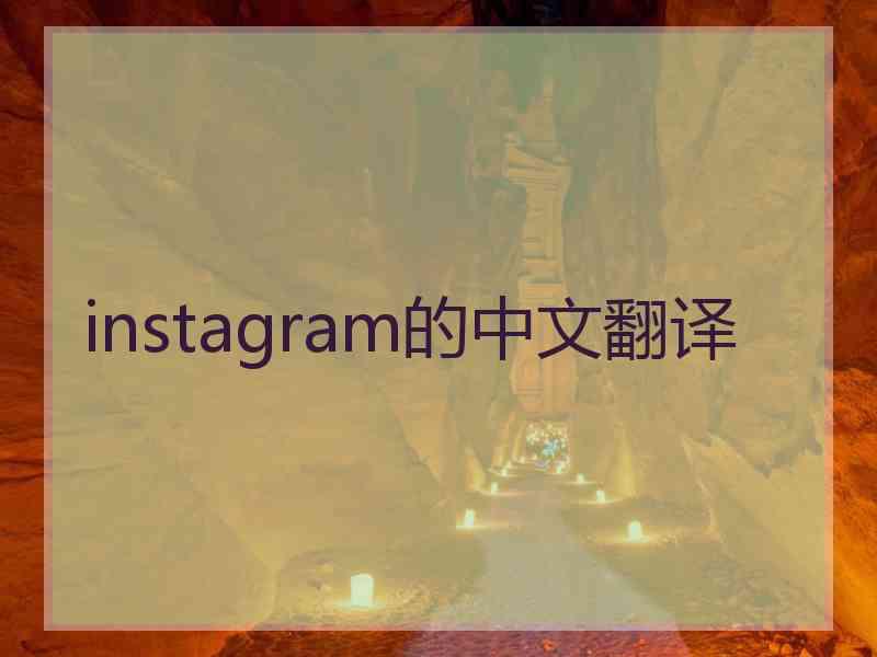 instagram的中文翻译