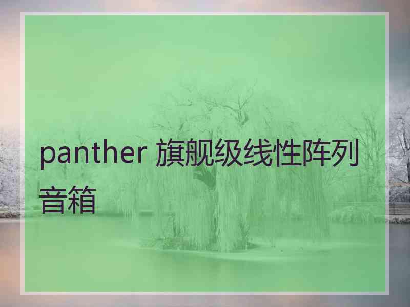 panther 旗舰级线性阵列音箱