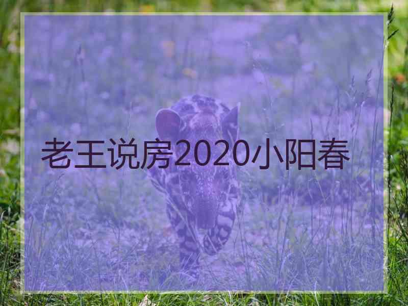 老王说房2020小阳春