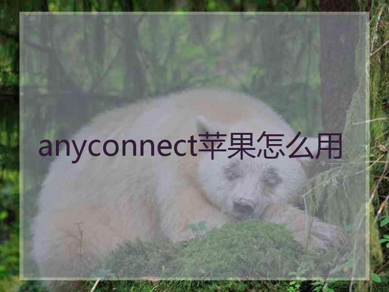 anyconnect苹果怎么用