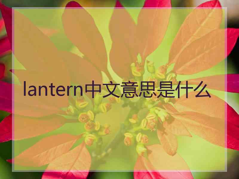 lantern中文意思是什么
