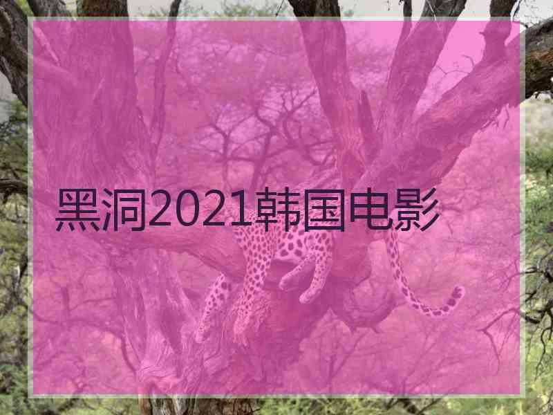 黑洞2021韩国电影