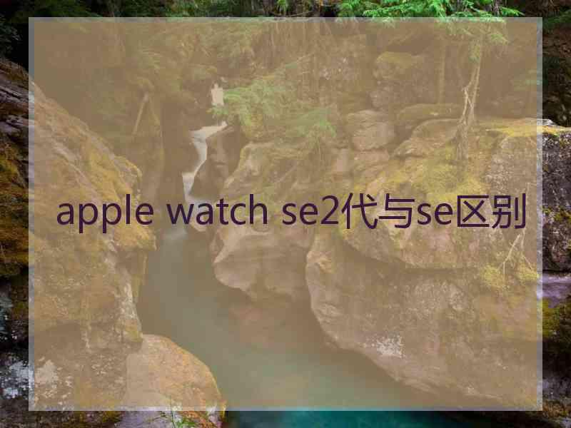 apple watch se2代与se区别