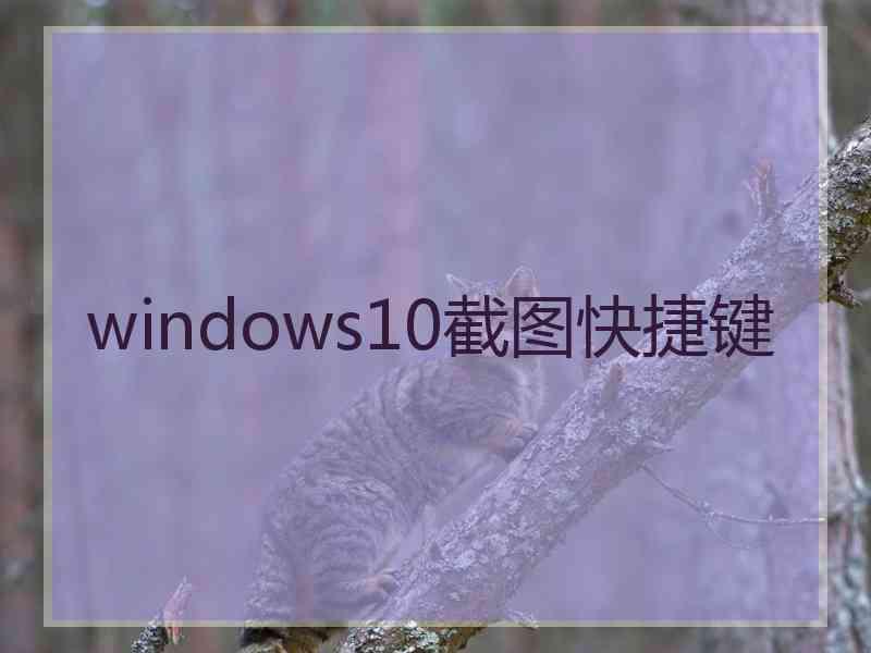 windows10截图快捷键