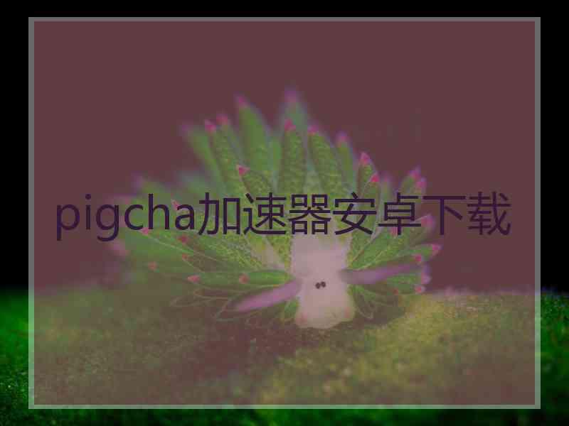 pigcha加速器安卓下载