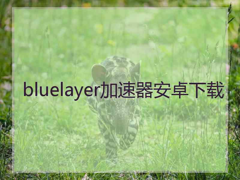 bluelayer加速器安卓下载