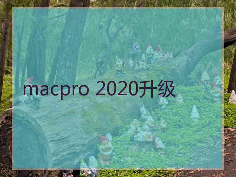 macpro 2020升级