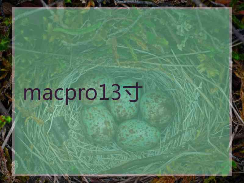 macpro13寸