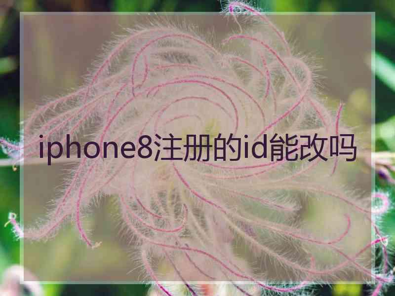 iphone8注册的id能改吗