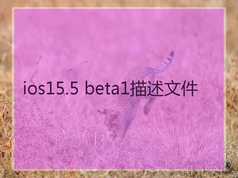 ios15.5 beta1描述文件