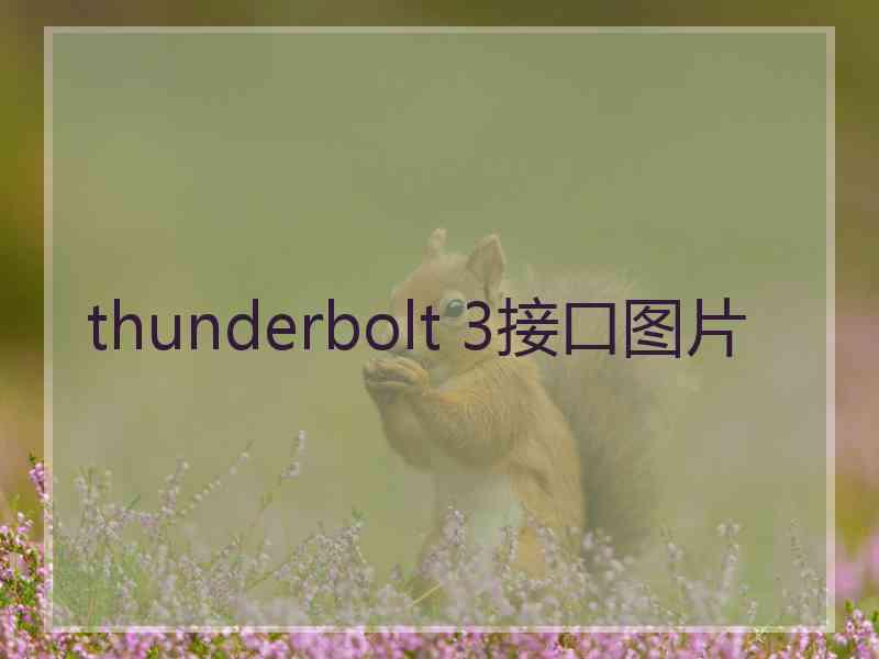 thunderbolt 3接口图片