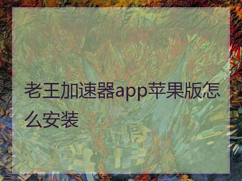 老王加速器app苹果版怎么安装