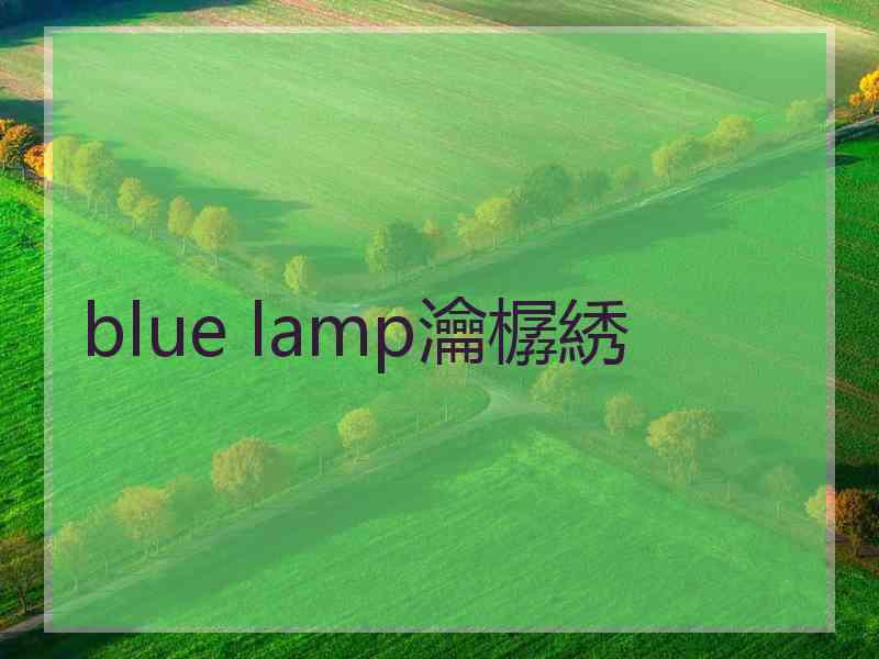 blue lamp瀹樼綉