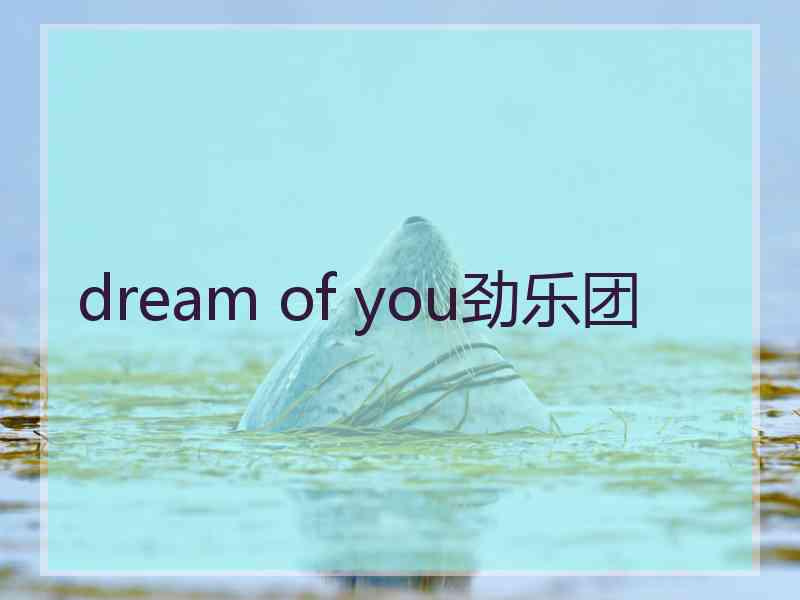 dream of you劲乐团
