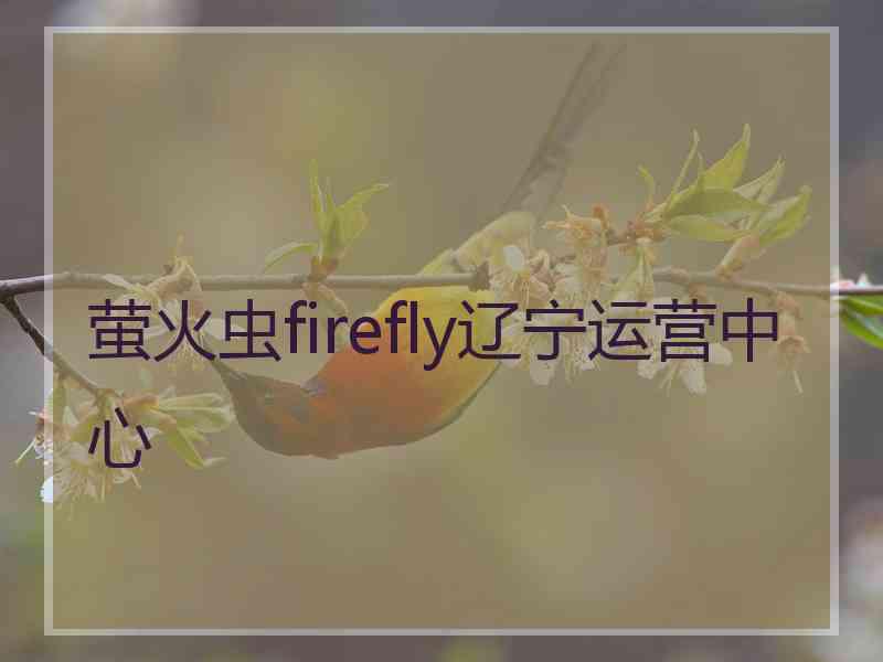萤火虫firefly辽宁运营中心