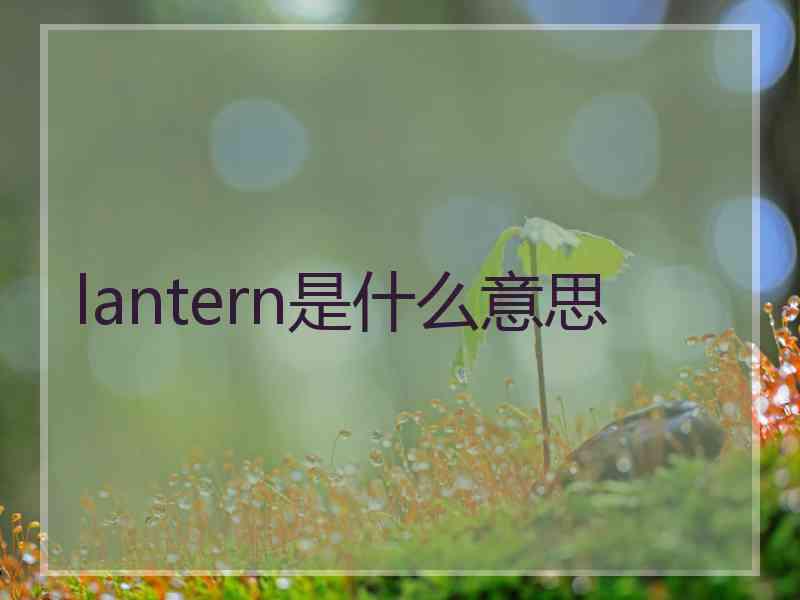 lantern是什么意思