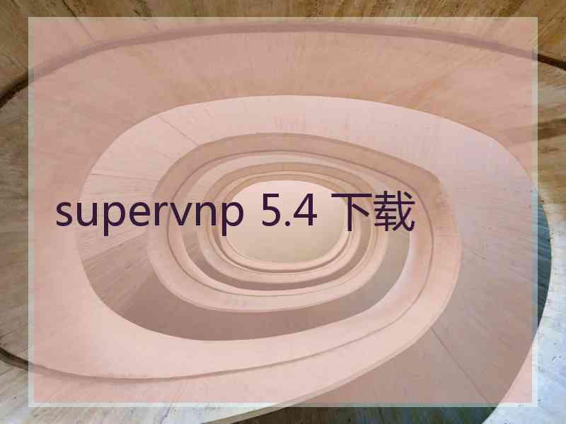 supervnp 5.4 下载