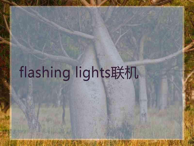 flashing lights联机