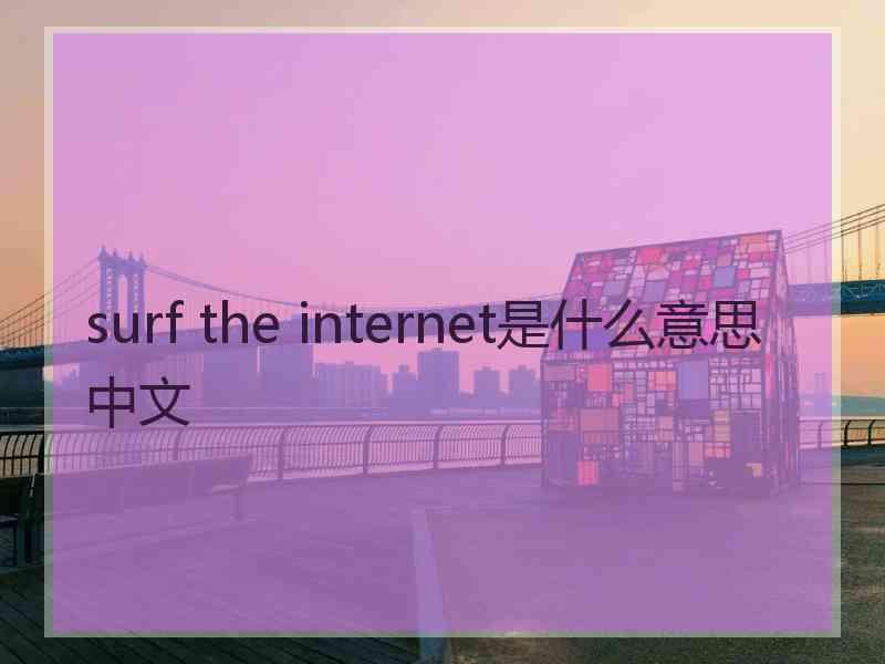 surf the internet是什么意思中文