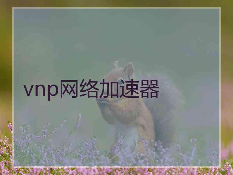 vnp网络加速器