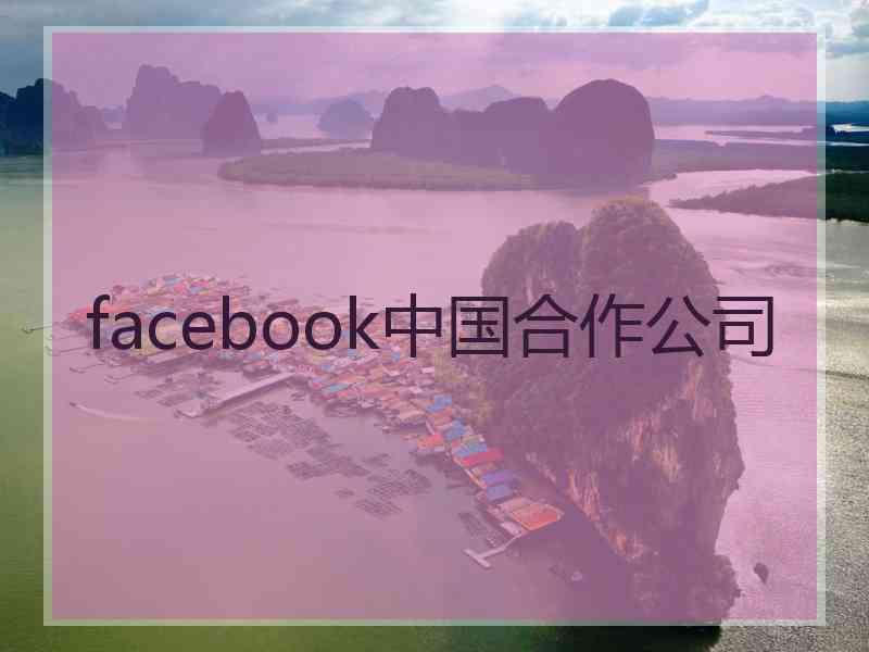 facebook中国合作公司