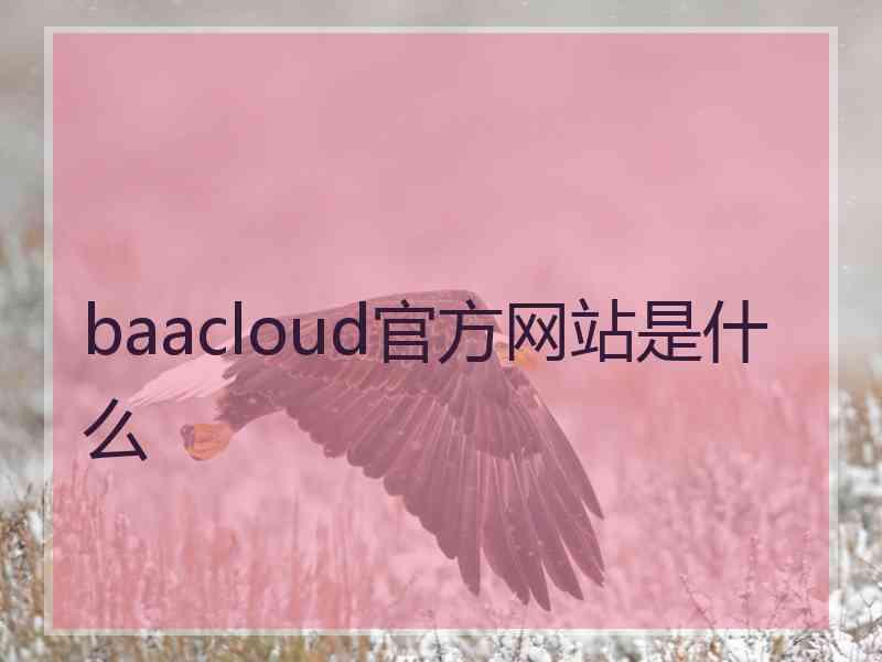 baacloud官方网站是什么